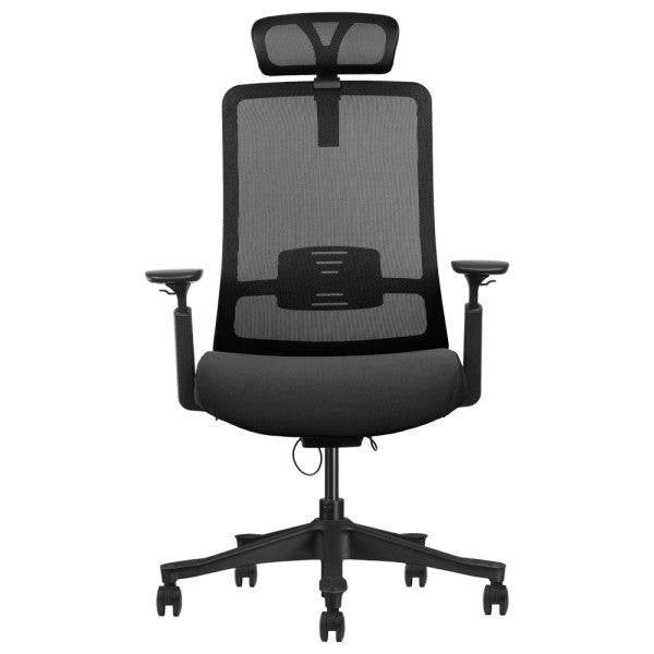 SKILLCHAIRS Ergo Diva SKILLCHAIRS Ergo Diva